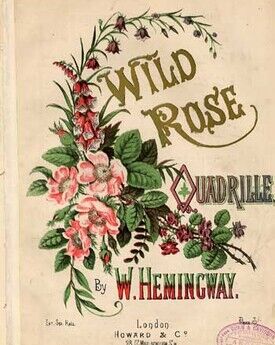 Wild Rose, Quadrille,