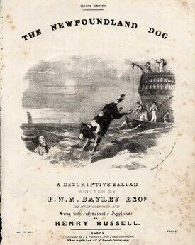 The Newfoundland Dog - A Descriptive Ballard