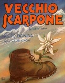 Vecchio Scarpone - Canzone Slow - Song in Italian