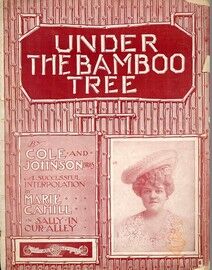 Under the Bamboo Tree - Song for Piano and Voice - Sung with enormous success in Mr. George Edwardes' production "The Girl from Kays" at the Apollo Th