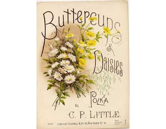 7857 | Buttercups & Daisies - Polka