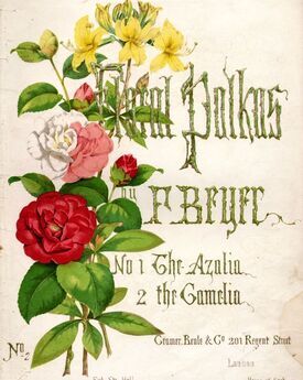 Floral Polkas - Series No. 2 - The Camelia Polka - Plate No. 4903