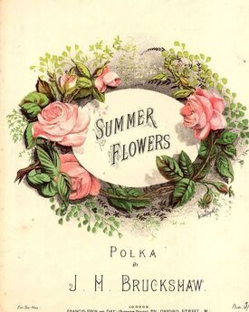 Summer Flowers - Polka
