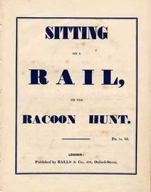 Sitting on a Rail or the Racoon Hunt,