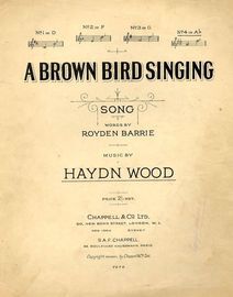 A Brown Bird Singing - Song - In the key of A flat for high voice