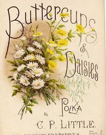 Buttercups & Daisies - Polka