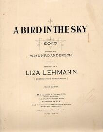 A Bird in the Sky - Song