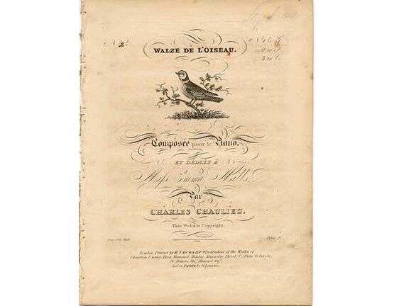 1720 | Second Bird Waltz, Waltz de LOiseau,