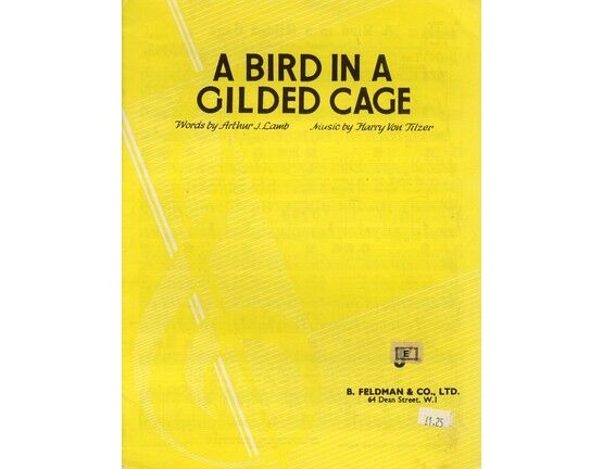 4 | A  Bird in a Gilded Cage