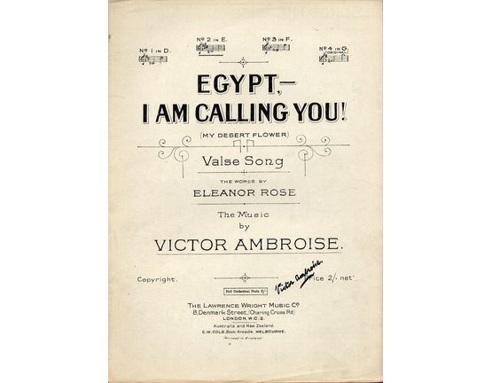 4 | Egypt I am Calling You (my desert flower)
