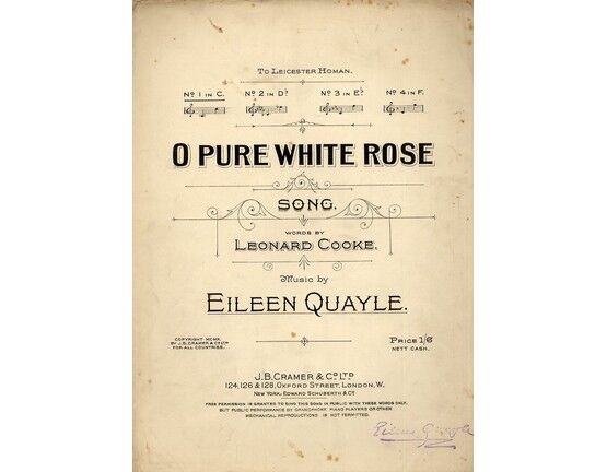 4 | O Pure White Rose