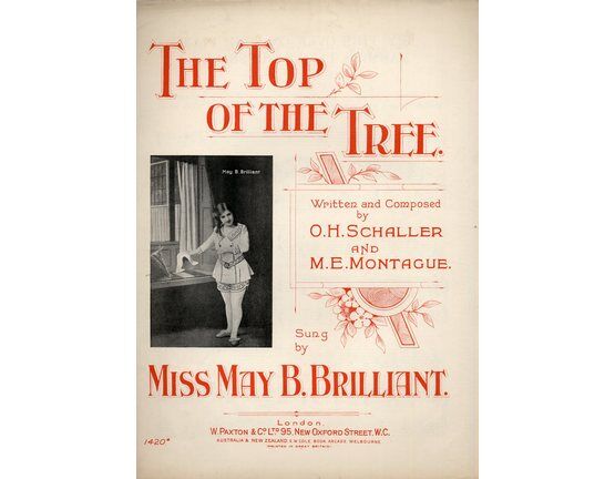 4 | The Top of the Tree: Miss May B Brilliant