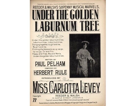 4 | Under the golden Laburnum Tree