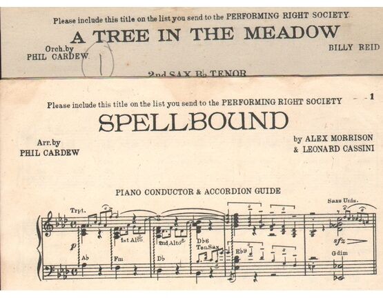 4856 | DANCE BAND with Vocals:- (a) A Tree in the Meadow  &  (b) Spellbound