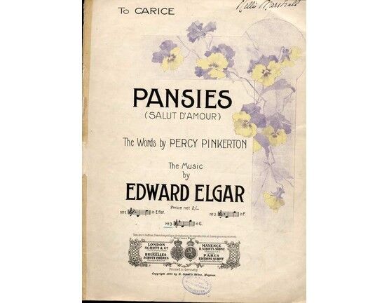 4864 | Pansies - Song - Based on Elgar's Salut D'Amour - Key of G major for Medium Voice