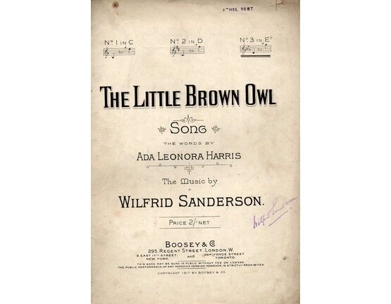 4921 | The Little Brown Owl