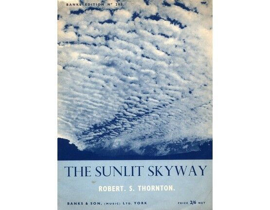 5024 | The sunlit skyway