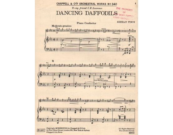 7765 | 'DANCING DAFFODILS'