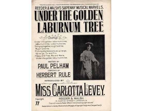 7853 | Under the Golden Laburnum Tree - As Introduced by Miss Carlotta Levey - Reeder & Walsh's Sixpenny Musical Marvels Series No. 77
