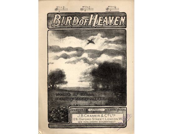 9337 | Bird of Heaven - Song in the Key of G Major - For High Voice